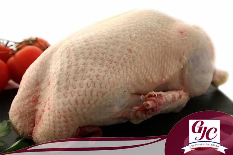 Farm Moscovy/Barbarie duck femelle